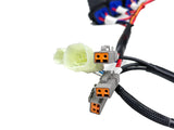 Main Harness — photo 2